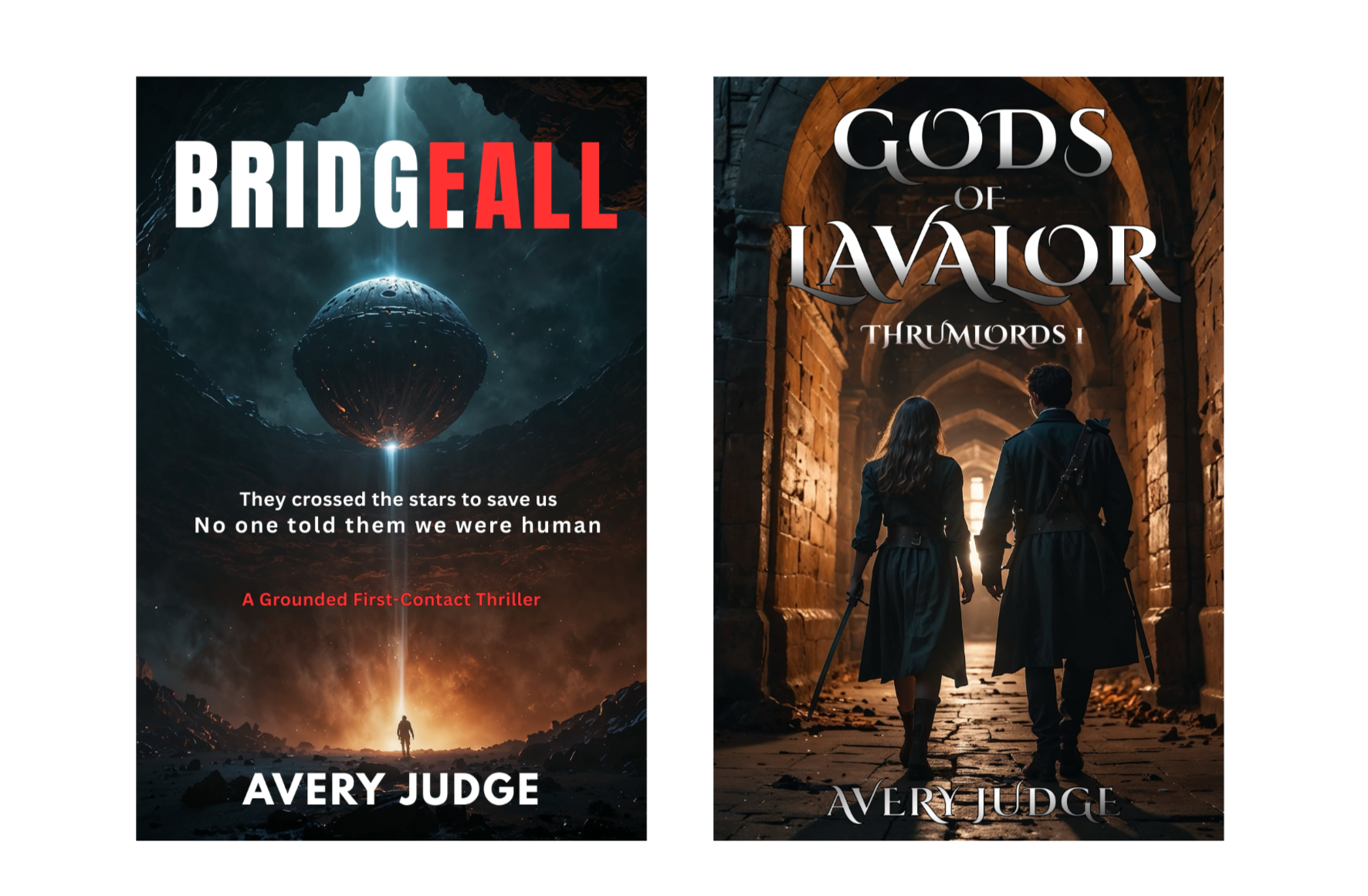 Book Cover Duo Twin Book Covers